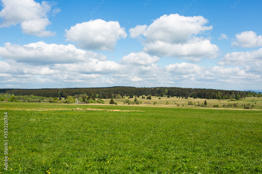 panoramic view of green fields and trees with blue cloudy sky