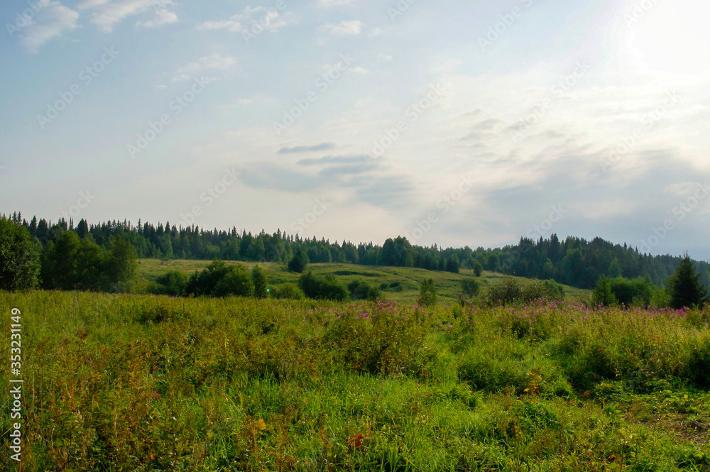 Wild field with flowers at steppe landscape