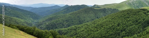 Panoramic view of Irati Woods, in Spain