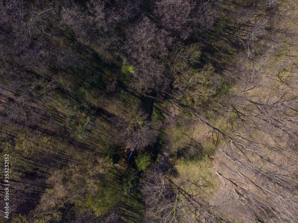 Concept of aerial view of forest. Aerial photography. Concept of aerial view of forest. Aerial photography.