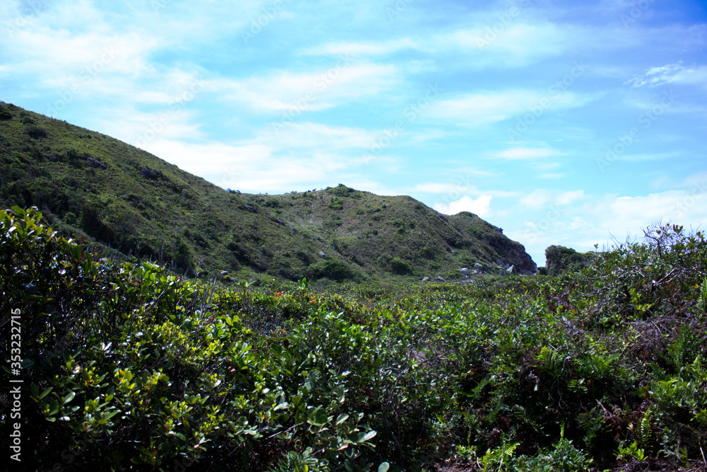 Obraz premium ilha do mel