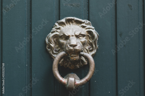 lion head door knocker