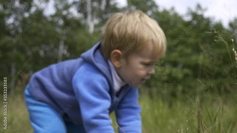 Joyful Little Boy Playing in High Grass Field. Bright Sunny Summer Day Joyful Little Boy Playing in High Grass Field. Bright Sunny Summer Day