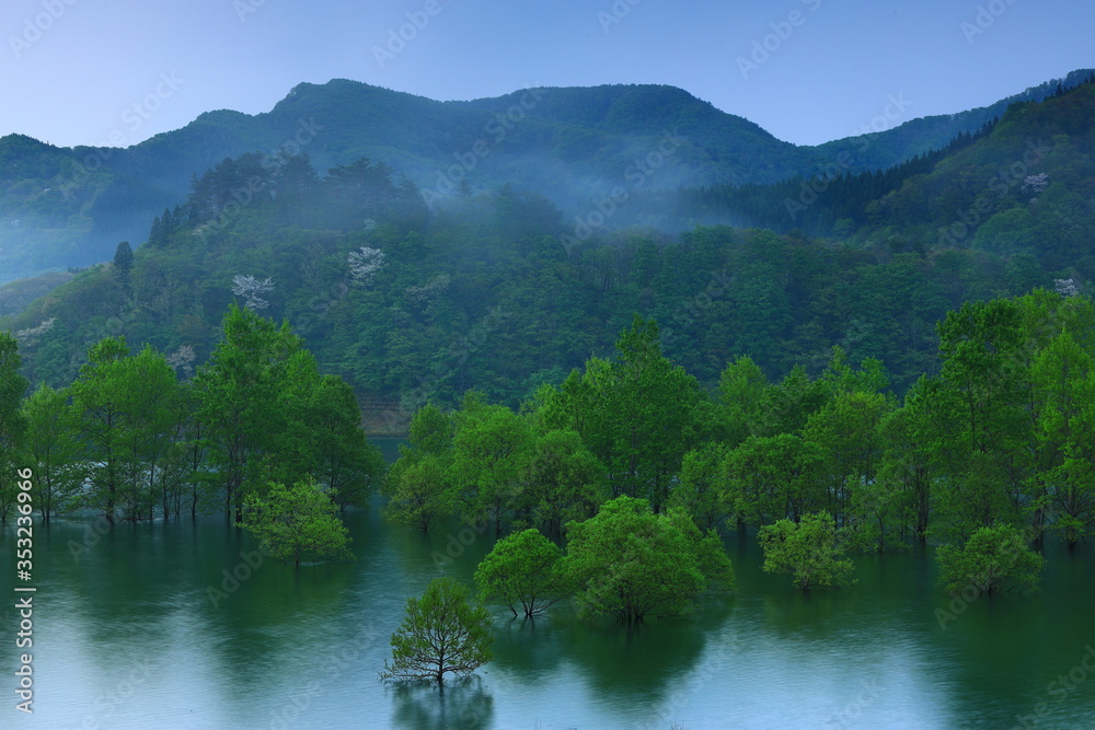 春の錦秋湖