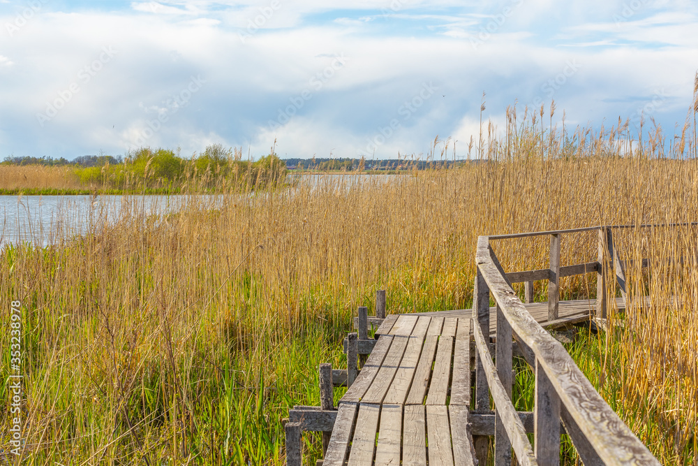 wooden walkway passing in swamps in a national park in Sweden