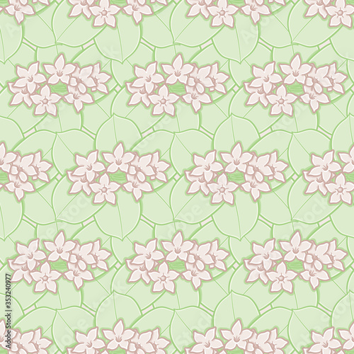 Madagascar Jasmine vector repeat pattern. Flower and leaves seamless illustration background.