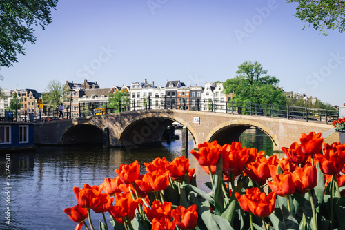 Photography typical amsterdam scenery wihtout any people showing a old bridge and red tulips