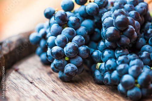Wallpaper Mural Grape on a wooden barrel. Macro image. Torontodigital.ca
