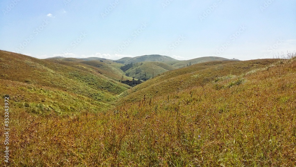 A scenery of green grassland. Grass filled mountains with sky on the background. Image for title with copy space.