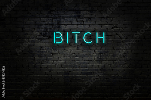 Neon sign with inscription bitch against brick wall
