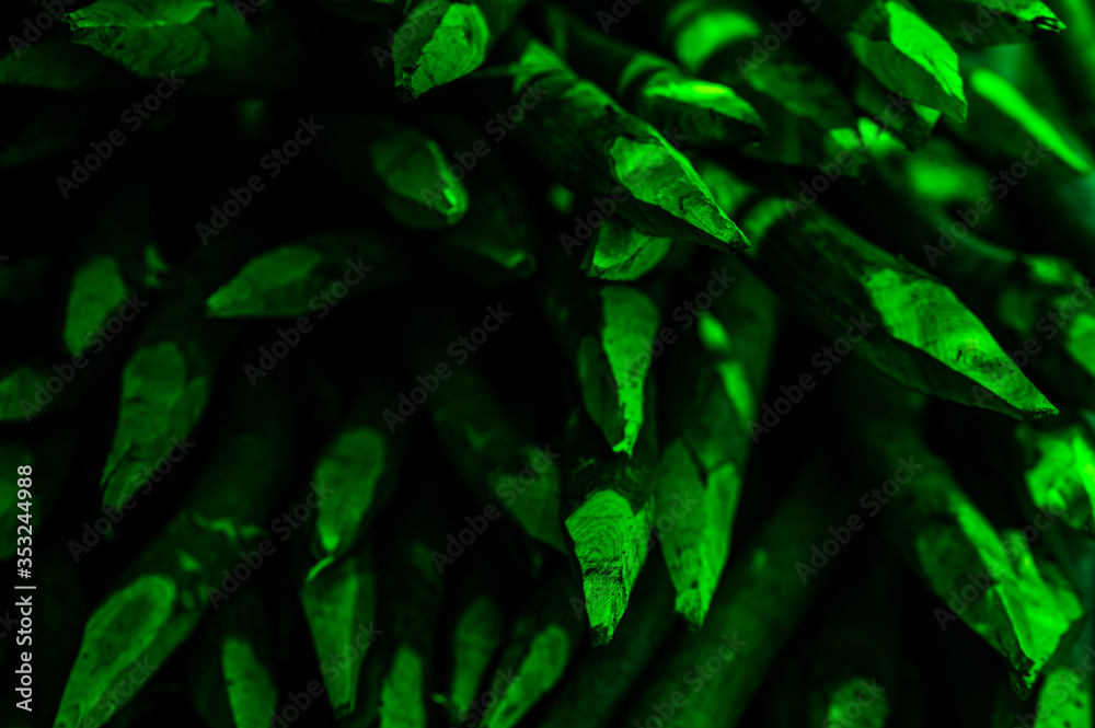 wood green texture wood green texture