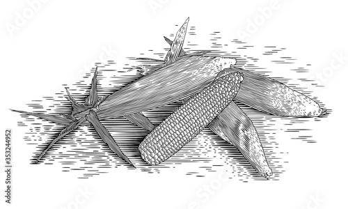Woodcut Corn Cobs