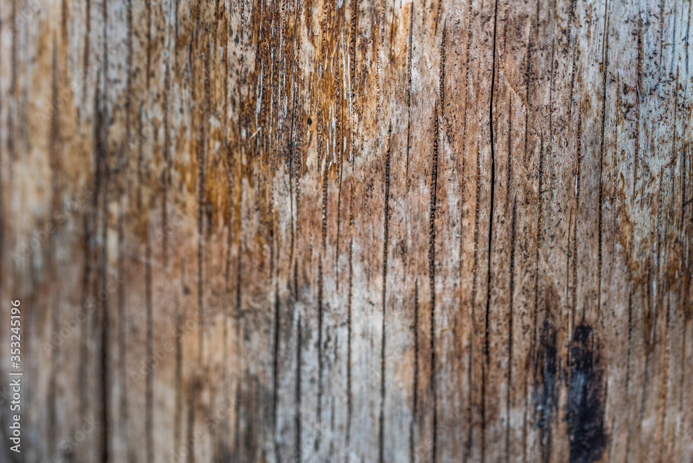 old wood texture