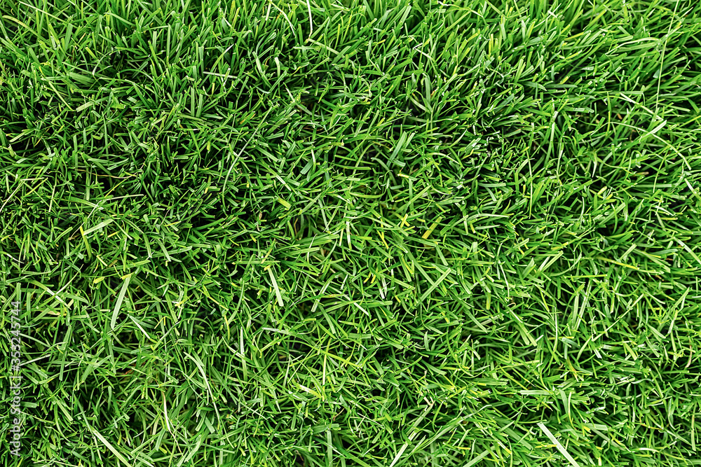 Fresh green grass top view Fresh green grass top view