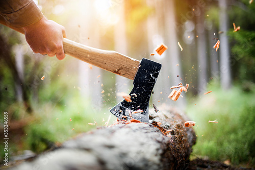 Quadro su tela Lumberjack in checkered shirt chops tree in deep forest with sharp ax, Detail of