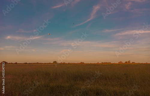 avi  n volando sobre un campo con cosecha seca en un cielo azul y despejado