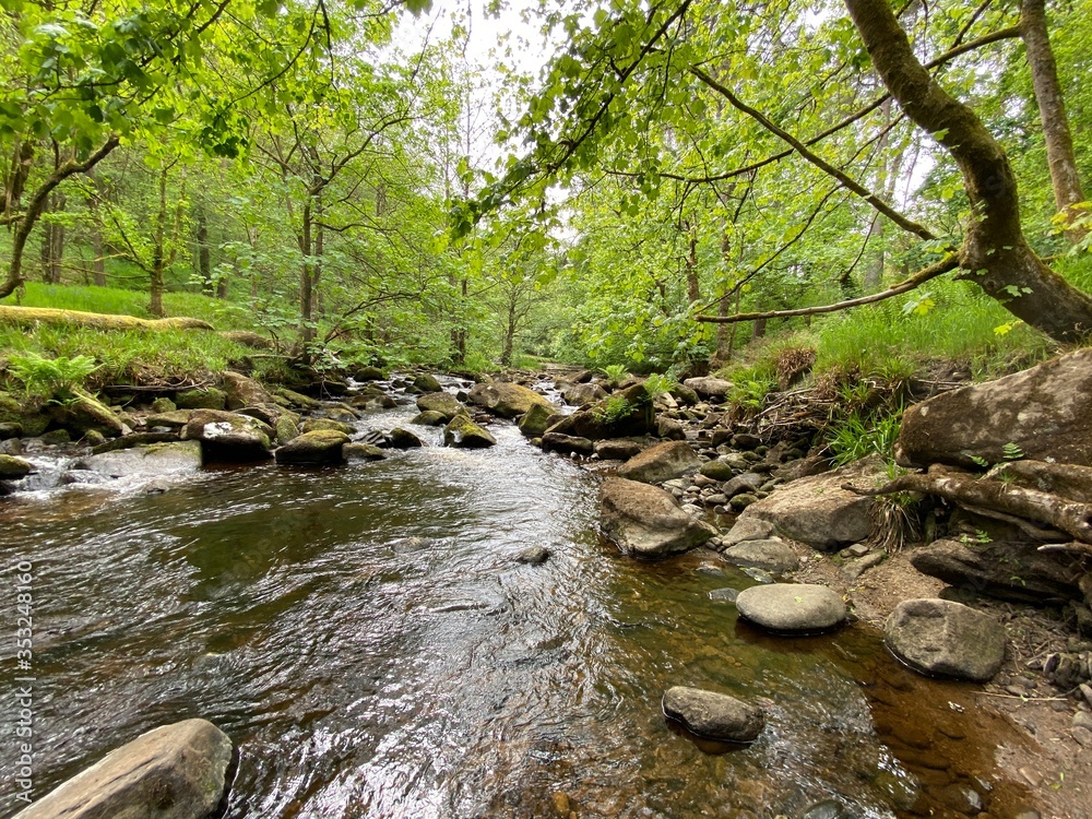 Obraz premium Stream in the forest, in Hardcastle Crags, Halifax, Yorkshire, UK