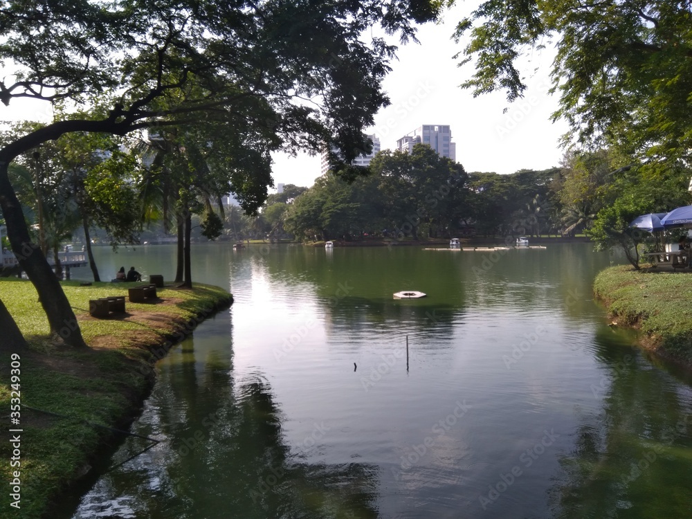 lake in the park