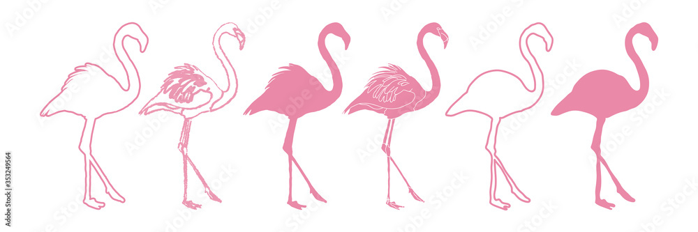 Flamingo Set Isolated Silhouette Illustration