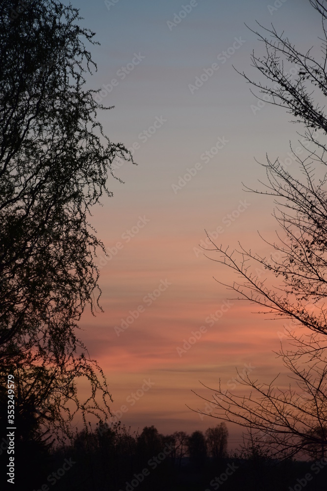 Naklejka premium Zachód słońca wiosną