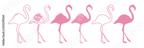 Flamingo Set Isolated Silhouette Illustration © csiling