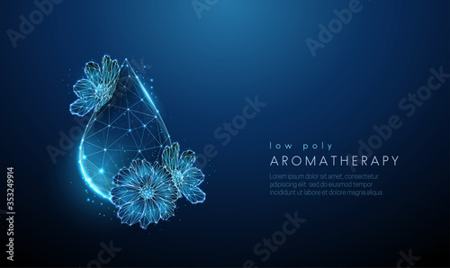 Low polyt water drop with digital flowers.
