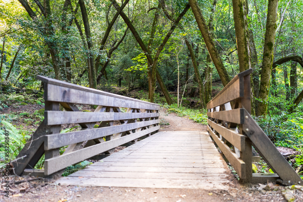 Wooden bridge on a hiking trail in the forests of Santa Cruz mountains, Sanborn County Park, California