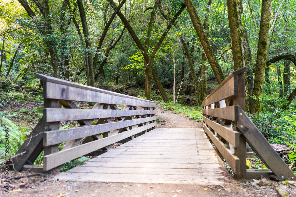 Wooden bridge on a hiking trail in the forests of Santa Cruz mountains, Sanborn County Park, California Wooden bridge on a hiking trail in the forests of Santa Cruz mountains, Sanborn County Park, California