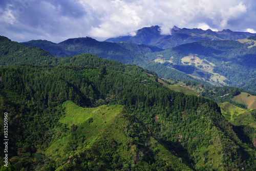 Alpine landscape in Cordiliera Central  Salento  Colombia  South America 