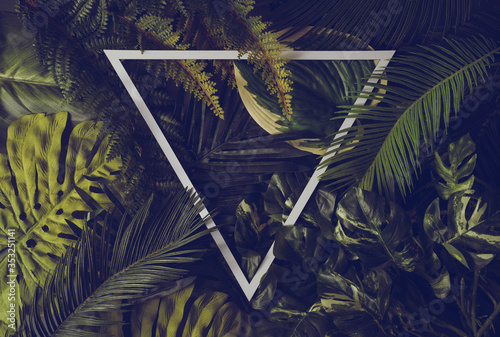 Fototapeta Naklejka Na Ścianę i Meble -  Banner with green tropical leaves on dark background. Exotic botanical design for cosmetics, spa, perfume, beauty salon, travel agency, florist shop. Best as wedding invitation cards.