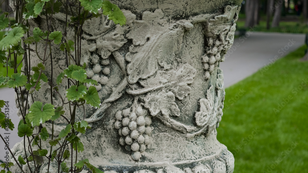 White vintage vase with grape pattern and vine branches, loppy from it. Park. Background. Macro shooting, closeup