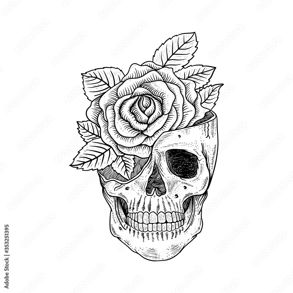 hand drawn skull and roses engraving style illustraton, can be used for ...