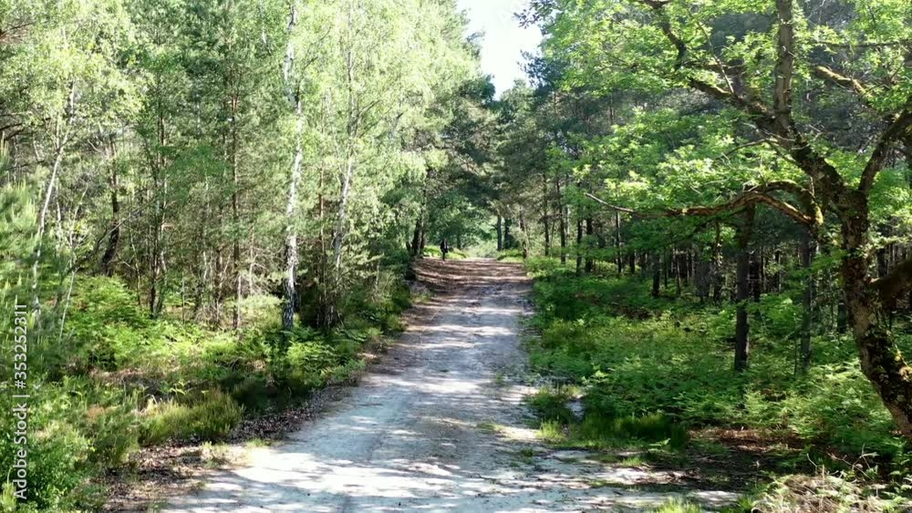 survol de la forêt de Rambouillet dans les Yvelines (France) survol de la forêt de Rambouillet dans les Yvelines (France)