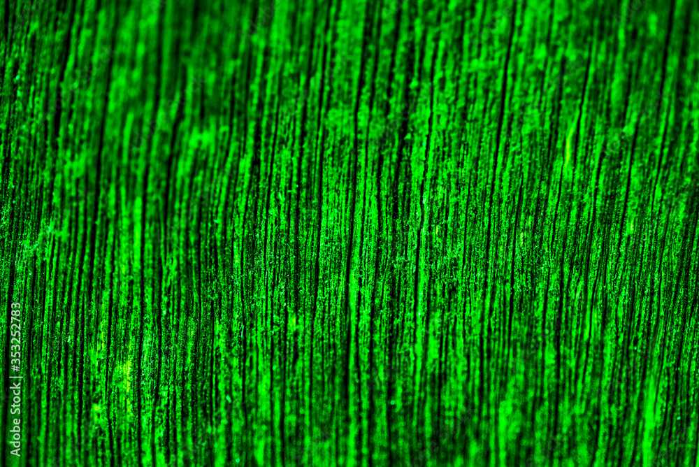 green grunge background