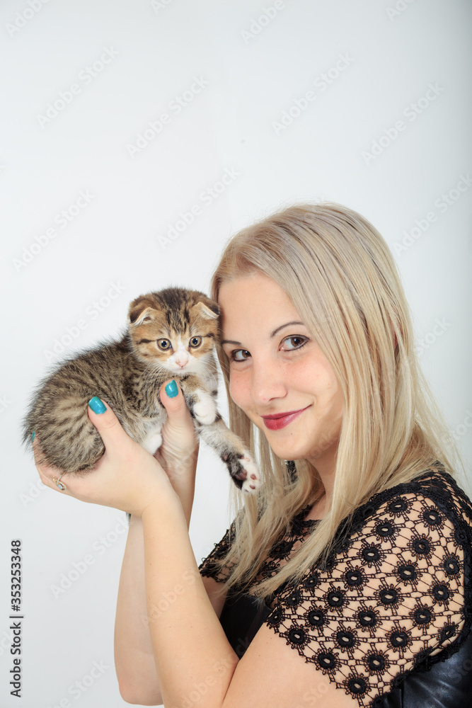 scotish fold kitten care, woman holds in hands little kitten close up scotish fold kitten care, woman holds in hands little kitten close up
