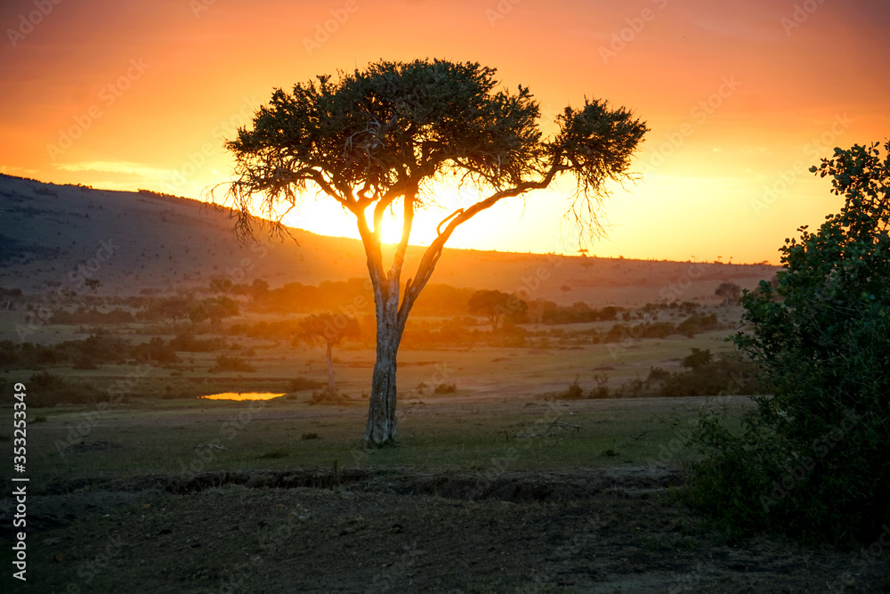 
Beautiful sunset on a safari in Masai Mara, Africa 