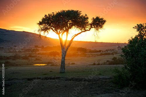  Beautiful sunset on a safari in Masai Mara, Africa 