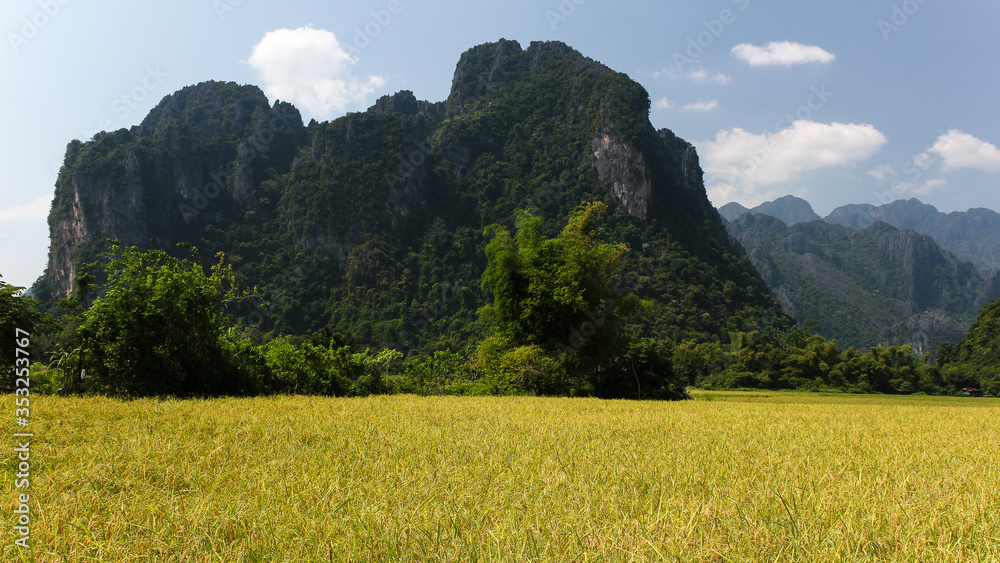 karst mountain with rice field during sunny weather in Lao PDR