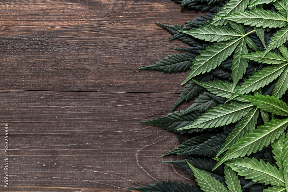 CBD Beautiful background green cannabis flowers.Cannabis Sativa Leaves On Dark - Medical Legal Marijuana,cannabis leaf on old wooden table