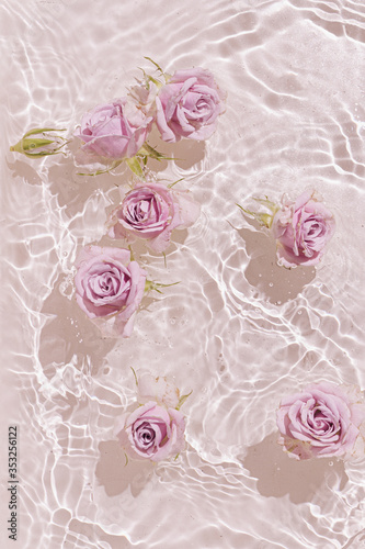 Summer scene with pink rose flowers in water. Sun and shadows. Minimal nature background.