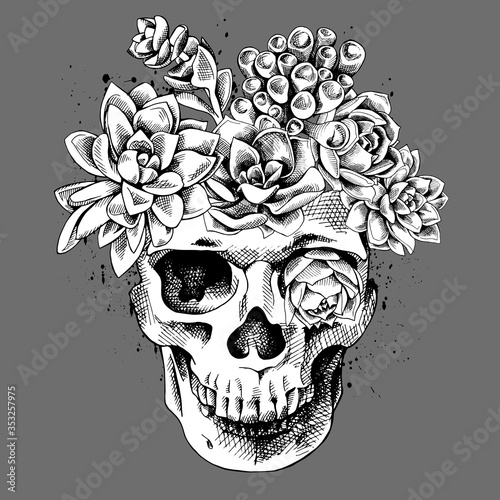 Skull with a succulent plants. Vector illustration.