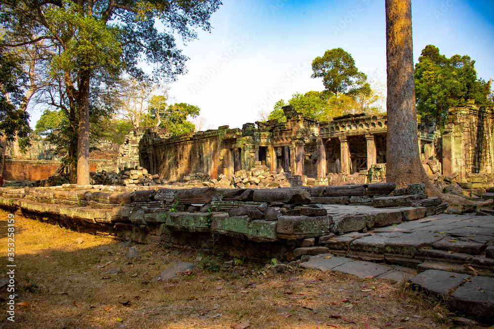 Fototapeta premium A beautiful view of Ta Phrom temple at Siem Reap, Cambodia.