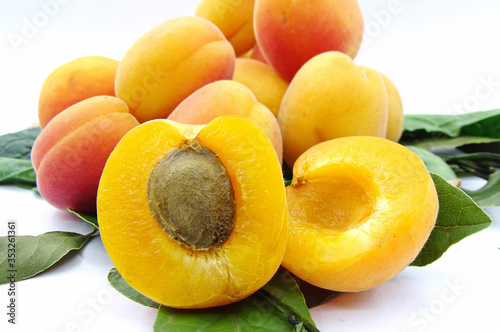 Organic apricot fruit on the tree leaves on white background