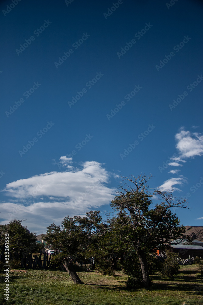 Fototapeta premium The mountain and the clouds in a patagonian park 