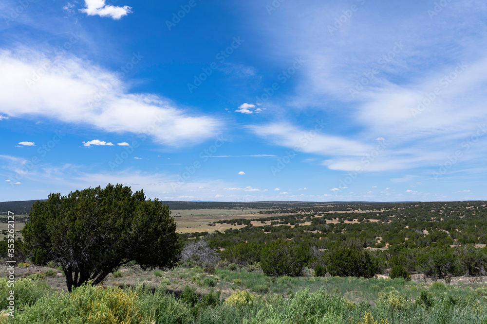 summer landscape with blue sky and clouds overlooking the high desert in central New Mexico.