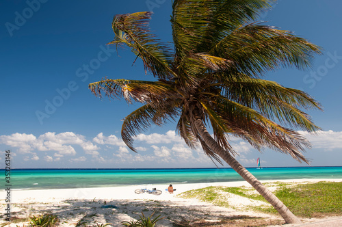 Fototapeta Naklejka Na Ścianę i Meble -  A perfect tropical beach for a tourist with her bike sunbathing, a palm tree, calm sea and a sailboat on the horizon, a perfect place to relax in peace and quiet