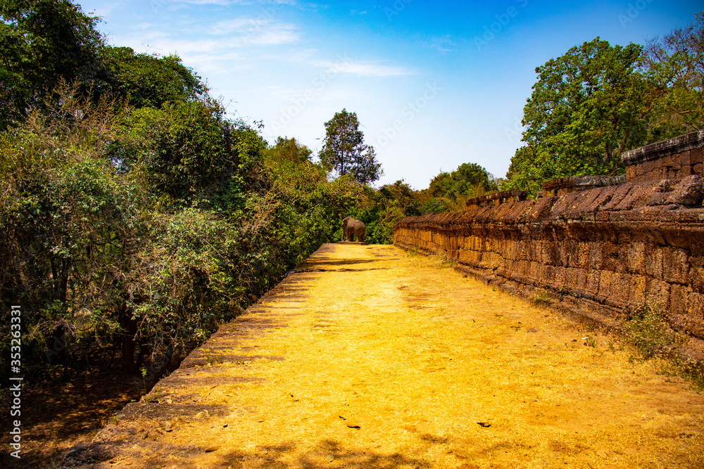 Fototapeta premium Piękny widok na świątynię Angkor Wat w Siem Reap w Kambodży.
