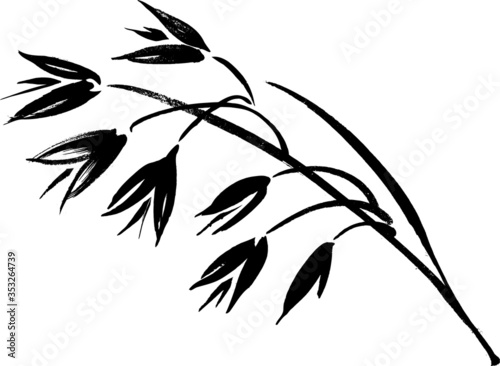 Oats hand painted brush & ink vector illustration graphic icon, ideal for packaging, labels etc.