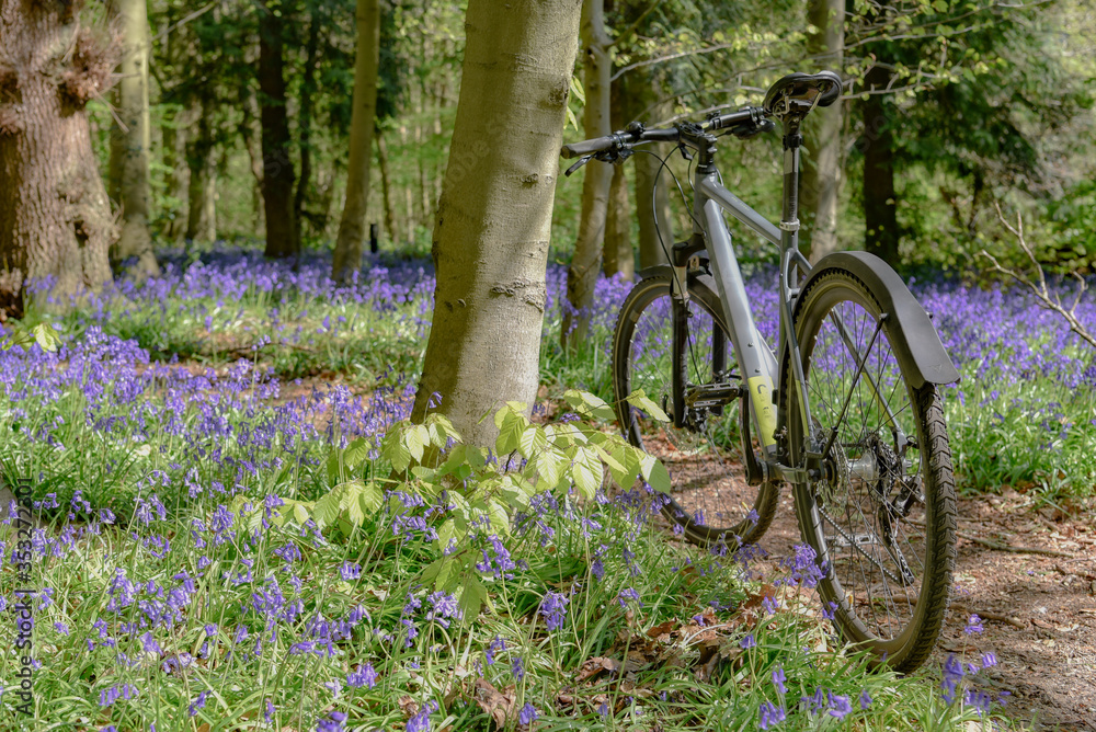 Fototapeta premium Bicycle in the woodland