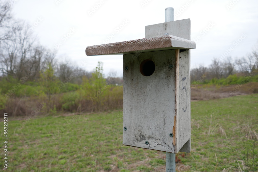 Wooden birdhouse in natural parkland close-up Wooden birdhouse in natural parkland close-up